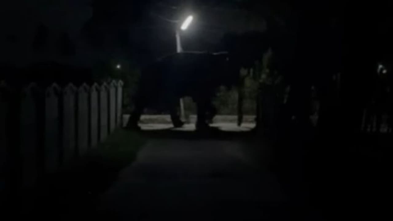 എറണാകുളത്ത് റിസോർട്ടിലെ ആന ഇടഞ്ഞു, വാഹനങ്ങളും വീടിന്റെ ഗേറ്റും തകർത്തു