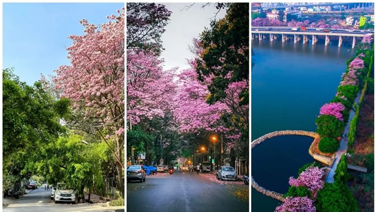 'ಬಣ್ಣಬಣ್ಣದ ಹೂಗಳ ನನ್ನೂರು, ಬೆಂಗಳೂರು..' 'ಗಾರ್ಡನ್‌ ಸಿಟಿ' ಕುರಿತಾಗಿ ಅದ್ಭುತ ಥ್ರೆಡ್‌ ಹಂಚಿಕೊಂಡ ಪ್ರಧಾನಿ!