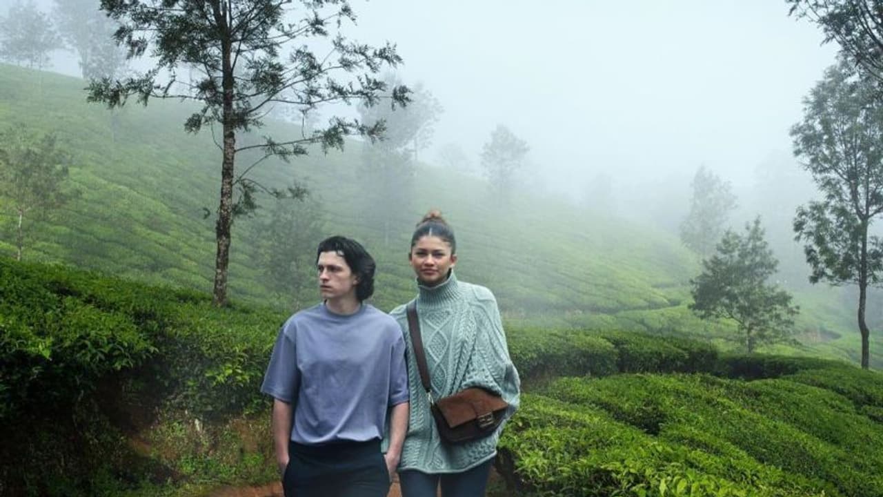 Fact Check: Are Tom Holland, Zendaya really in Kerala's Munnar? Here's the truth 