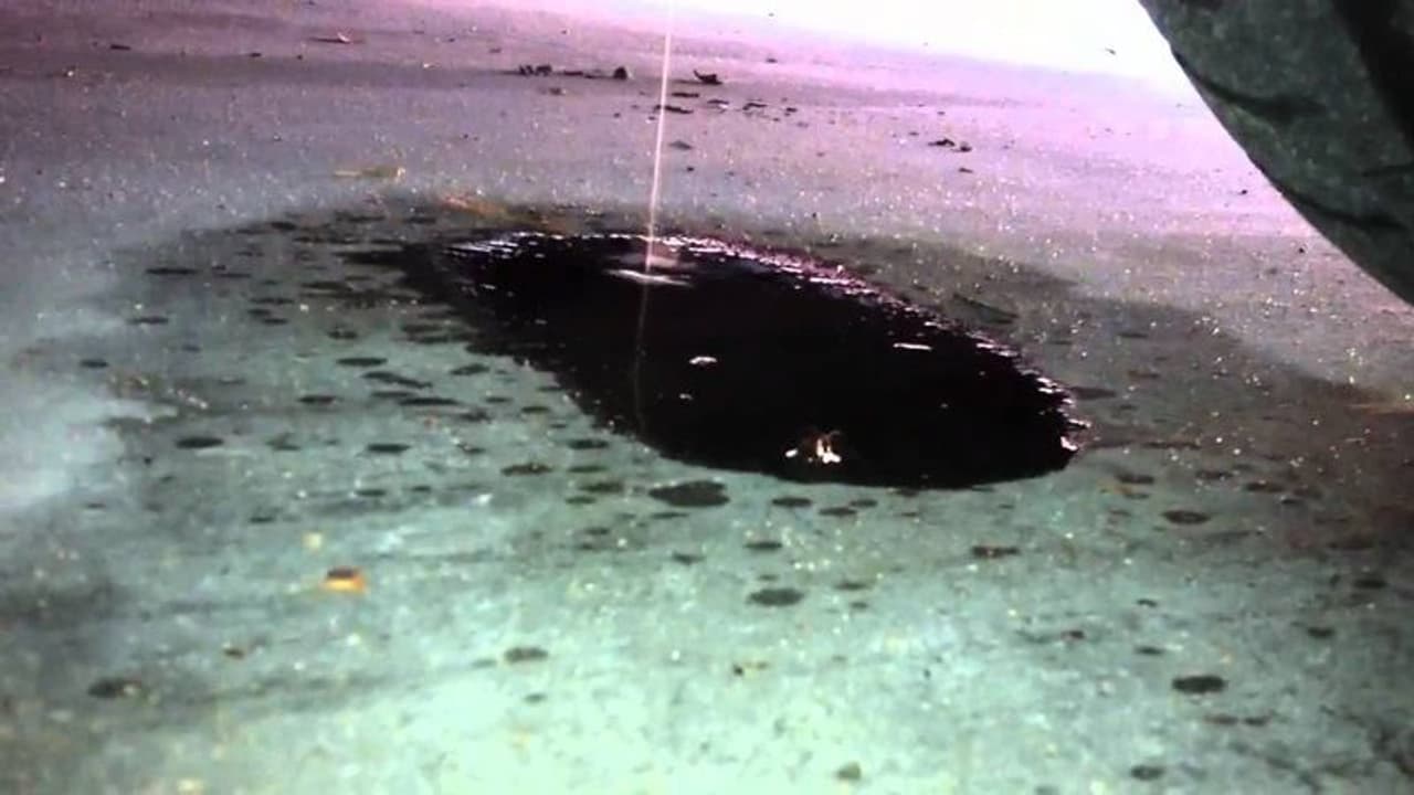 ഇന്ധന ചോര്ച്ച, അരലക്ഷത്തില് അധികം എസ്യുവികൾ തിരിച്ചുവിളിച്ച് ഈ കമ്പനി! ഇന്ധന ചോര്ച്ച, അരലക്ഷത്തില് അധികം എസ്യുവികൾ തിരിച്ചുവിളിച്ച് ഈ കമ്പനി!