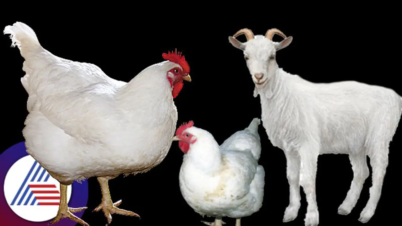 ಏಪ್ರಿಲ್ 4 ರಂದು ಪ್ರಾಣಿ ವಧೆ, ಮಾಂಸ ಮಾರಾಟ ನಿಷೇಧ! ಏಪ್ರಿಲ್ 4 ರಂದು ಪ್ರಾಣಿ ವಧೆ, ಮಾಂಸ ಮಾರಾಟ ನಿಷೇಧ!