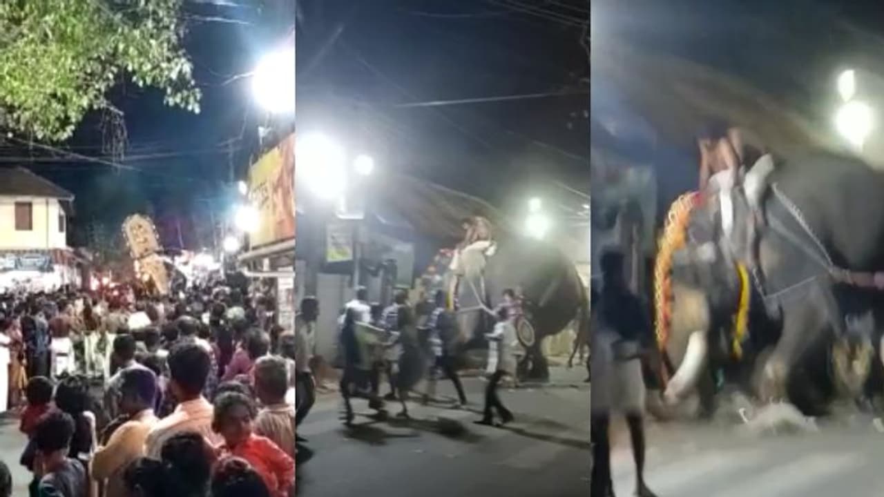 മദ്യലഹരിയിൽ ആനയുടെ വാലിൽ പിടിച്ചു'; ശ്രീകാര്യത്ത് ഉത്സവ ഘോഷയാത്രക്കിടെ ആന വിരണ്ടോടി, 5 പേർക്ക് പരിക്ക് മദ്യലഹരിയിൽ ആനയുടെ വാലിൽ പിടിച്ചു'; ശ്രീകാര്യത്ത് ഉത്സവ ഘോഷയാത്രക്കിടെ ആന വിരണ്ടോടി, 5 പേർക്ക് പരിക്ക്
