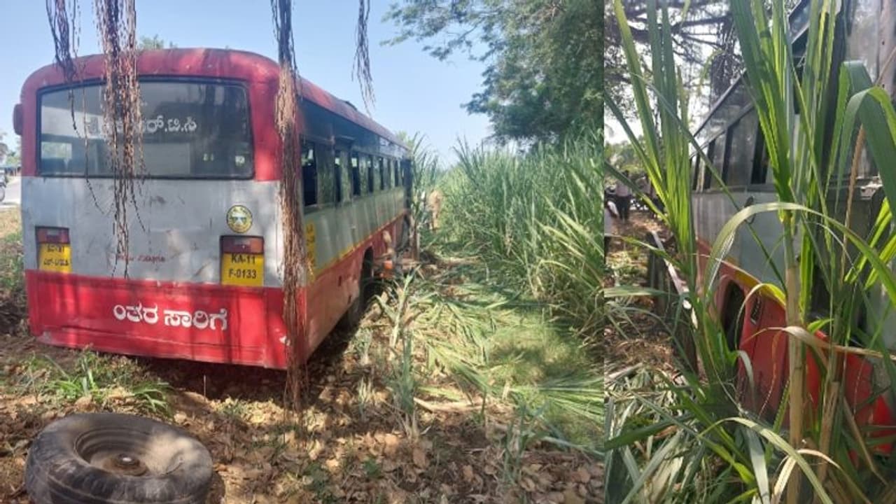 Mandya Breaking : ಸ್ಟೇರಿಂಗ್‌ ಕಟ್ ಆಗಿ ಕಬ್ಬಿನ ಗದ್ದೆಗೆ ನುಗ್ಗಿದ ಕೆಎಸ್‌ಆರ್‌ಟಿಸಿ ಬಸ್