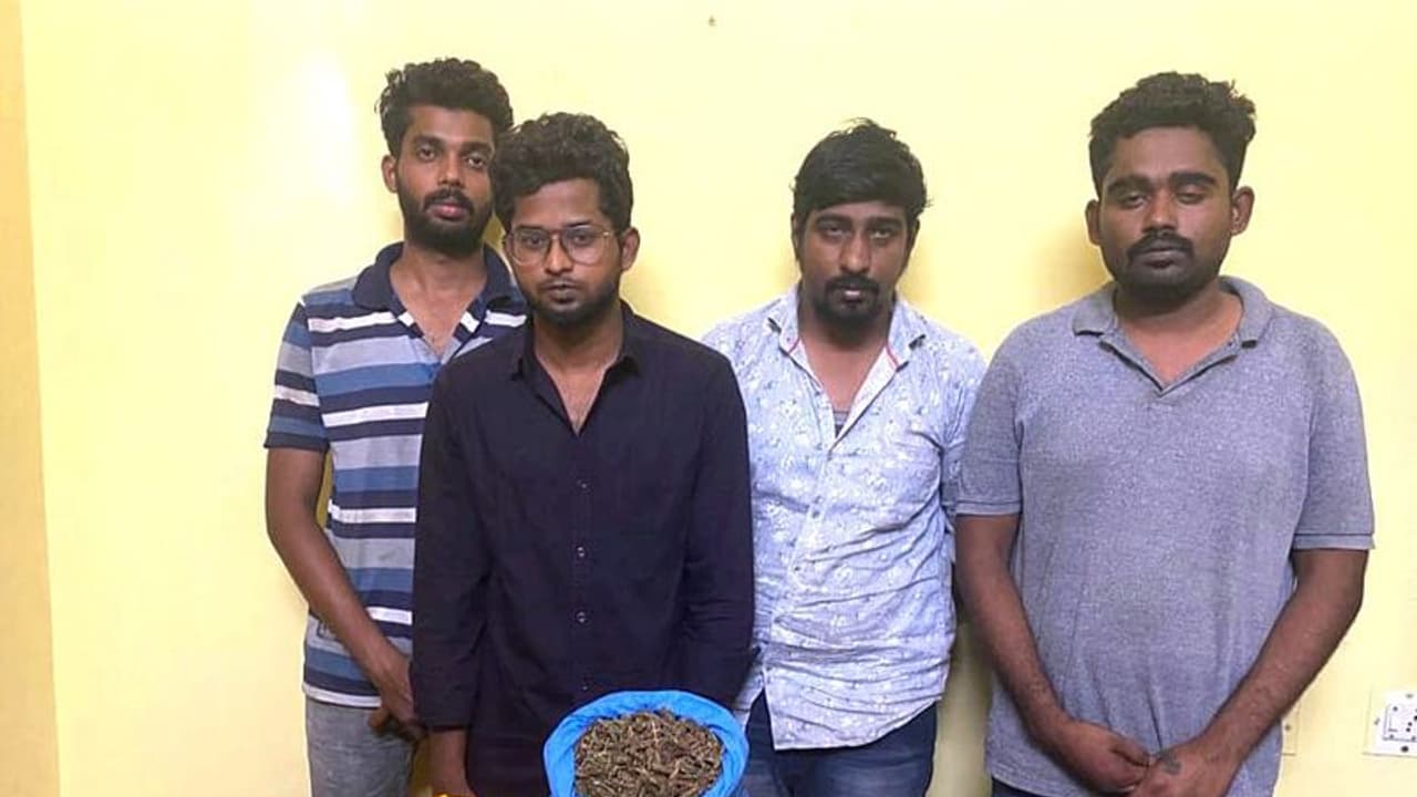 கோவையில் கஞ்சா சாக்லேட்டுகளை விற்பனைக்காக வைத்திருந்த 4 பேர் கைது