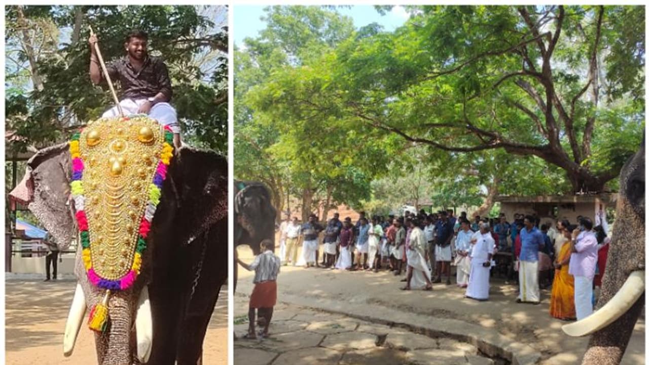 ഗുരുവായൂർ ദേവസ്വത്തിൽ 'പാപ്പാൻ പരീക്ഷ'; പത്ത് ഒഴിവ്, എത്തിയത് പാപ്പാന്മാരുടെ നീണ്ട നിര ഗുരുവായൂർ ദേവസ്വത്തിൽ 'പാപ്പാൻ പരീക്ഷ'; പത്ത് ഒഴിവ്, എത്തിയത് പാപ്പാന്മാരുടെ നീണ്ട നിര