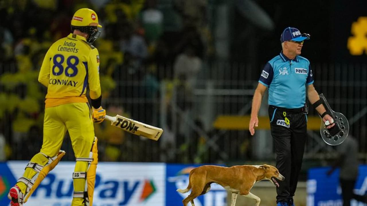  WATCH: ಪಂದ್ಯ ಬಿಟ್ಟು ನಾಯಿ ಹಿಡಿಯೋಕೆ ಹೋದ ಅಂಪೈರ್‌!