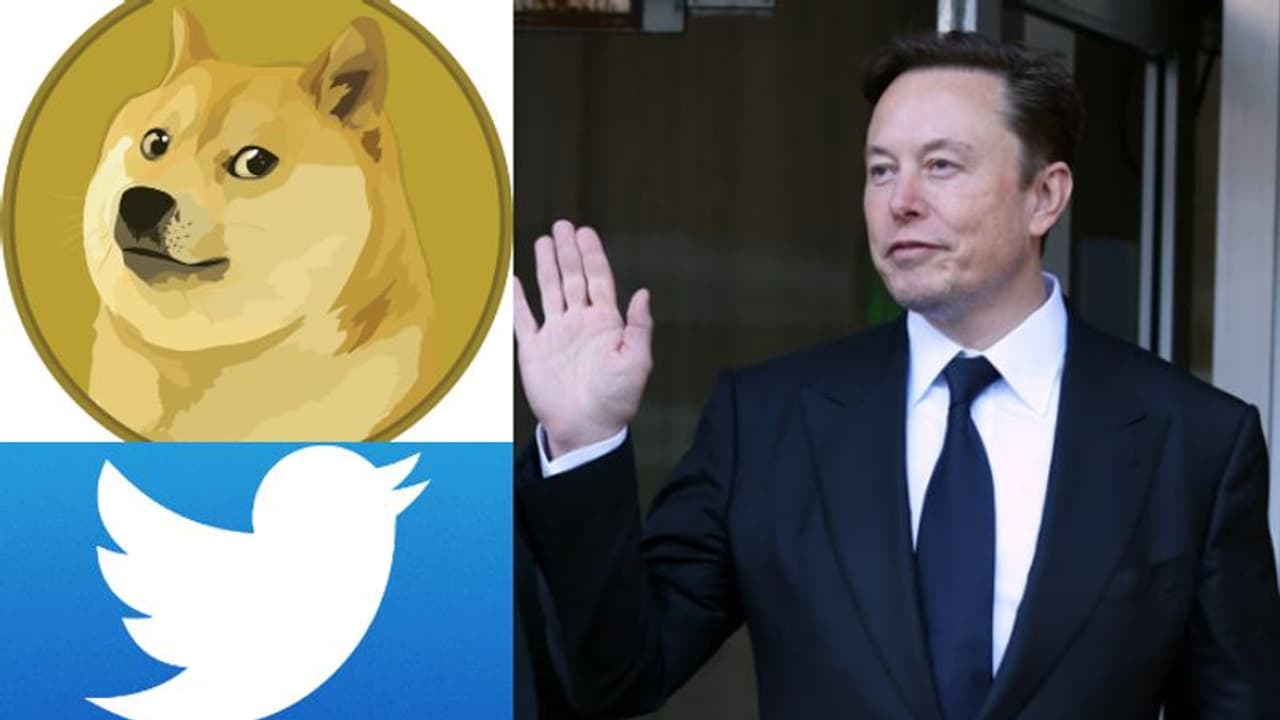 Twitter Logo Changed: ట్విట్టర్ లోగో మార్పు..నీలి పిట్ట స్థానంలో జపనీస్ కుక్క ప్రత్యక్షం..నెటిజన్లకు షాక్.. Twitter Logo Changed: ట్విట్టర్ లోగో మార్పు..నీలి పిట్ట స్థానంలో జపనీస్ కుక్క ప్రత్యక్షం..నెటిజన్లకు షాక్..