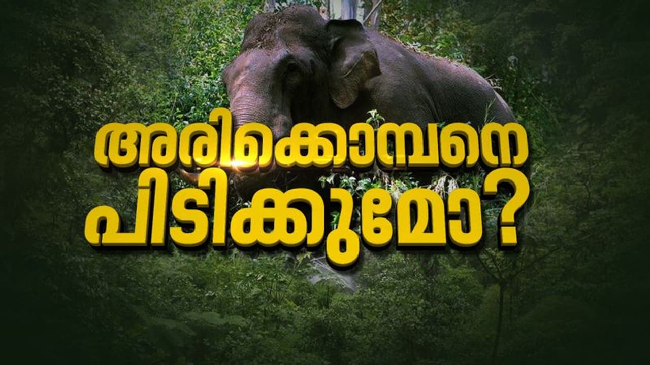 'അരിക്കൊമ്പനെ പറമ്പിക്കുളത്തേക്ക് മാറ്റരുത്': നെല്ലിയാമ്പതിയിൽ ഹർത്താൽ തുടങ്ങി 'അരിക്കൊമ്പനെ പറമ്പിക്കുളത്തേക്ക് മാറ്റരുത്': നെല്ലിയാമ്പതിയിൽ ഹർത്താൽ തുടങ്ങി