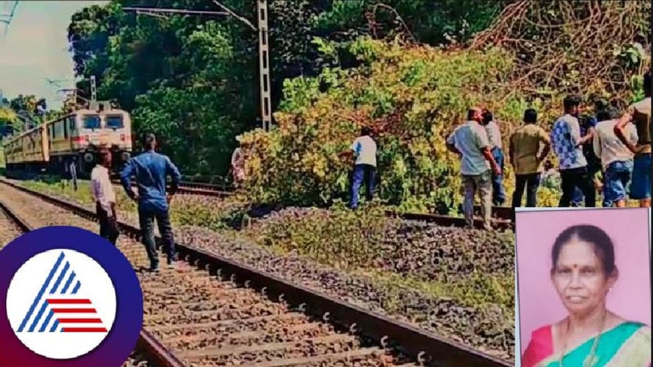 ಹಳಿಗೆ ಅಡ್ಡಲಾಗಿ ಬಿದ್ದ ಮರ: ರೈಲು ಅವಘಡ ತಪ್ಪಿಸಲು ಕೆಂಪು ವಸ್ತ್ರ ಹಿಡಿದು ವೃದ್ದೆಯ ಸಾಹಸ! 