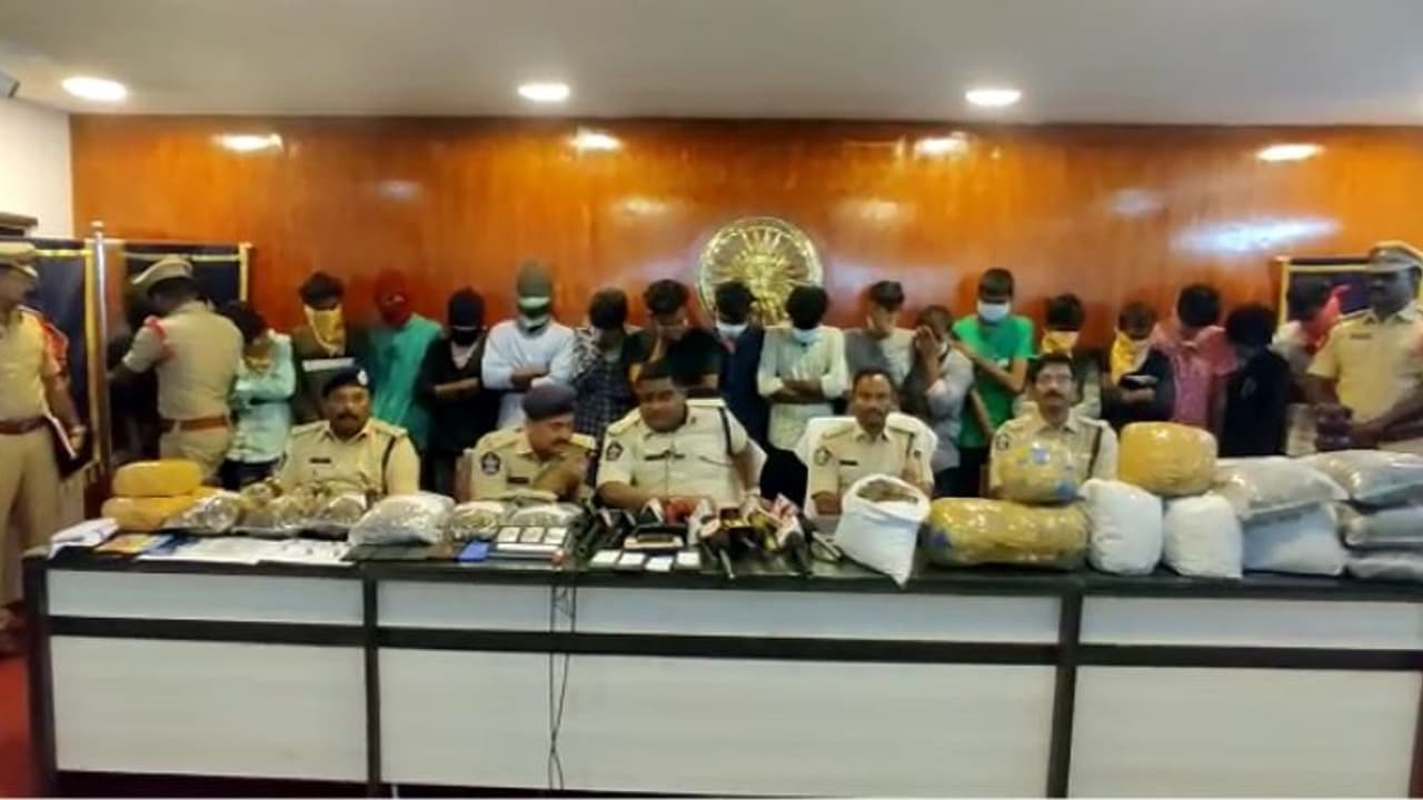 కృష్ణా జిల్లాలో గంజాయి ముఠా అరెస్ట్ ... స్మగ్లర్లంతా 30 ఏళ్లలోపు యువకులే..! (వీడియో) కృష్ణా జిల్లాలో గంజాయి ముఠా అరెస్ట్ ... స్మగ్లర్లంతా 30 ఏళ్లలోపు యువకులే..! (వీడియో)