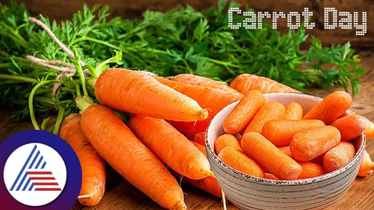 Carrot Day : ಕಣ್ಣಿಗೂ ಬೆಸ್ಟು, ಹೃದಯಕ್ಕೂ ಬೇಕು ಈ ಕ್ಯಾರೇಟ್