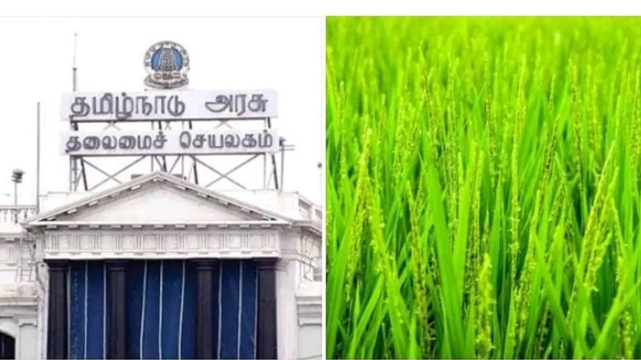 புதிய நிலக்கரி சுரங்கத்திற்கு அனுமதியா.? விவசாயிகள் கவலை அடைய வேண்டாம்.! அனுமதி கொடுக்க மாட்டோம் தமிழக அரசு புதிய நிலக்கரி சுரங்கத்திற்கு அனுமதியா.? விவசாயிகள் கவலை அடைய வேண்டாம்.! அனுமதி கொடுக்க மாட்டோம் தமிழக அரசு