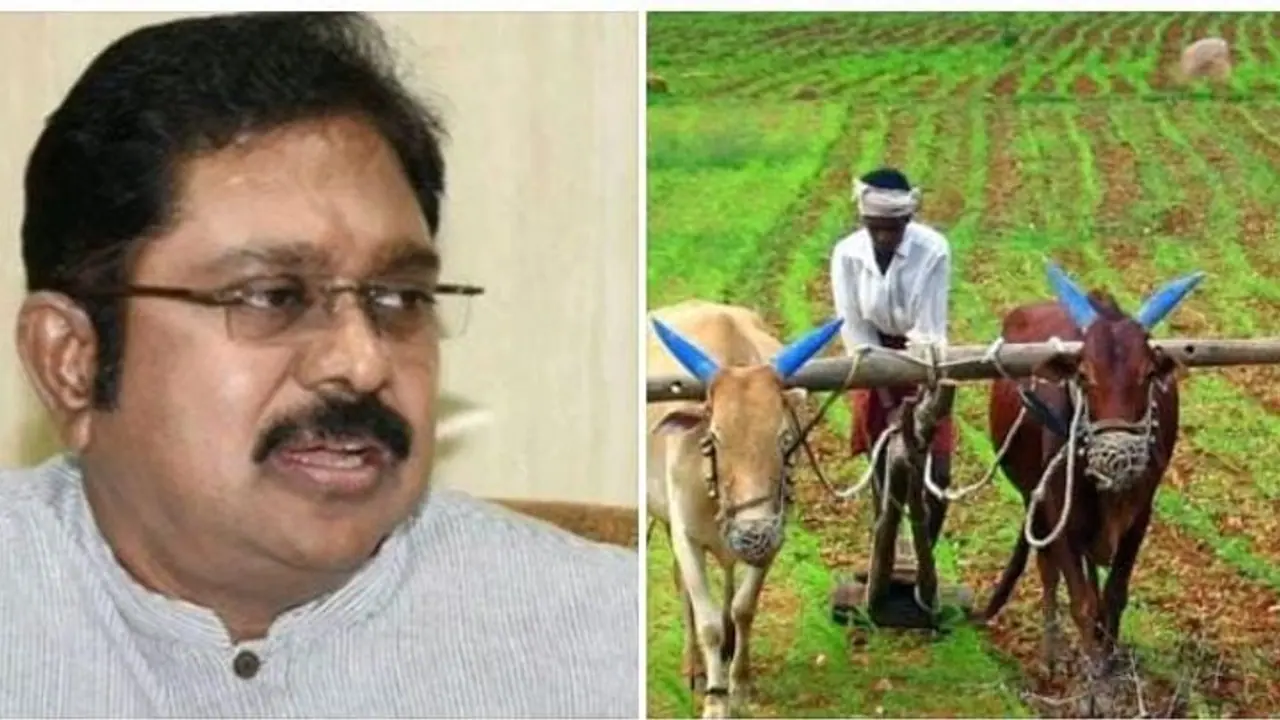 சூறைக்காற்றால் வேளாண் பயிர்கள் பாதிப்பு..! காலம் தாழ்த்தாமல் தமிழக அரசு இதை உடனே செய்யனும் டிடிவி தினகரன் சூறைக்காற்றால் வேளாண் பயிர்கள் பாதிப்பு..! காலம் தாழ்த்தாமல் தமிழக அரசு இதை உடனே செய்யனும் டிடிவி தினகரன்