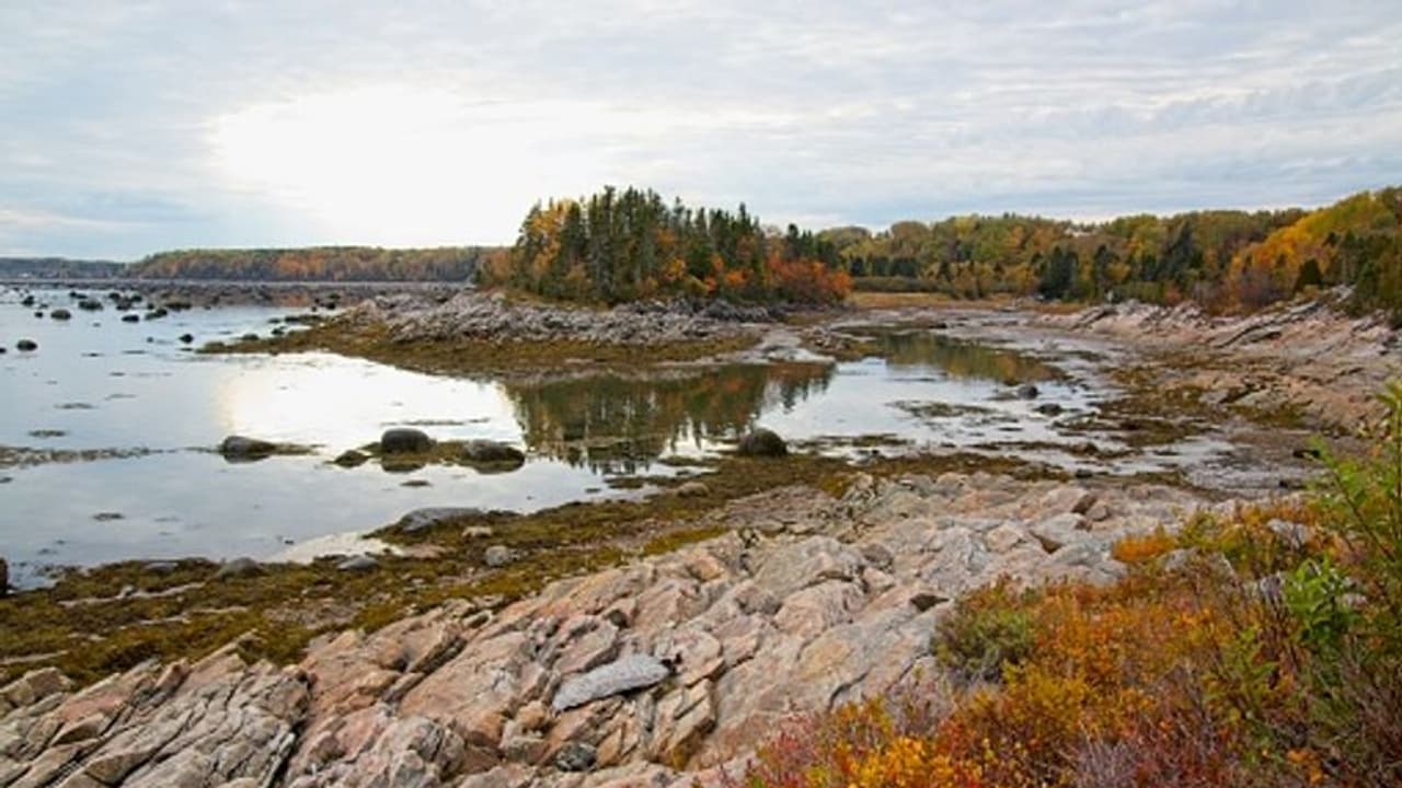 യുഎസ് കാനഡ അതിര്ത്തിയില് കണ്ടെത്തിയ എട്ട് മൃതദേഹങ്ങളില് നാല് എണ്ണം ഇന്ത്യന് വംശജരുടേത് യുഎസ് കാനഡ അതിര്ത്തിയില് കണ്ടെത്തിയ എട്ട് മൃതദേഹങ്ങളില് നാല് എണ്ണം ഇന്ത്യന് വംശജരുടേത്