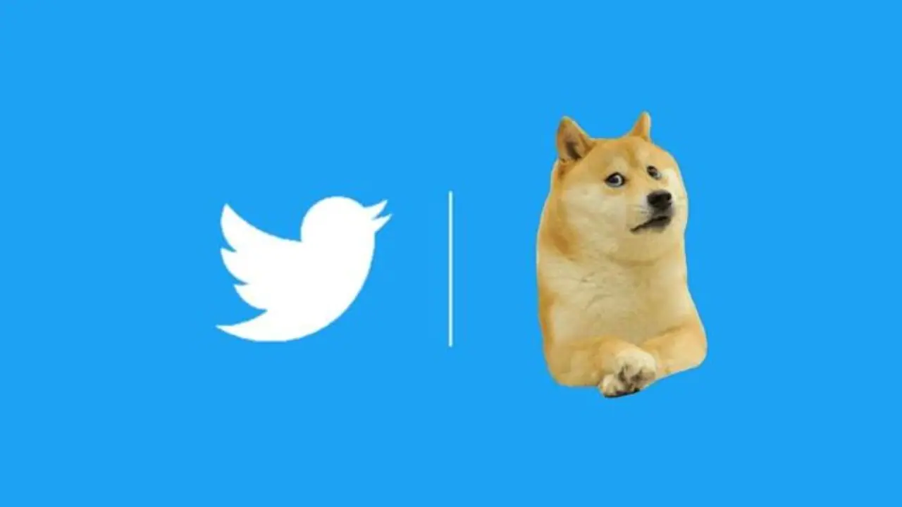 ನಾಯಿ ಚಿಹ್ನೆಗೆ ಕೊಕ್‌: ಟ್ವಿಟ್ಟರ್‌ಗೆ ಮತ್ತೆ ಮರಳಿದ ನೀಲಿ ಹಕ್ಕಿ, ಬಳಕೆದಾರರಲ್ಲಿ ಸಂತಸ