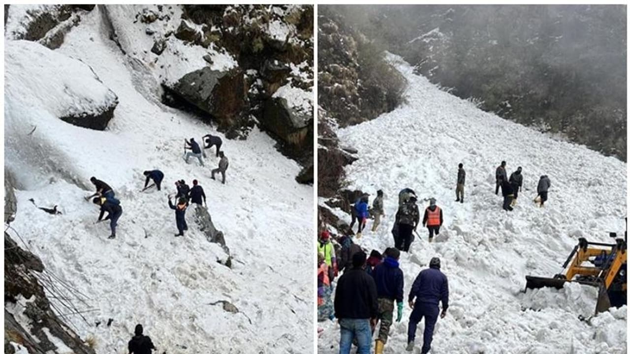 சிக்கிம் நாதுலா எல்லையில் பனிச்சரிவில் சிக்கியவர்களில் 7 பேர் உயிரிழப்பு; 350 பேரின் நிலை என்ன? சிக்கிம் நாதுலா எல்லையில் பனிச்சரிவில் சிக்கியவர்களில் 7 பேர் உயிரிழப்பு; 350 பேரின் நிலை என்ன?