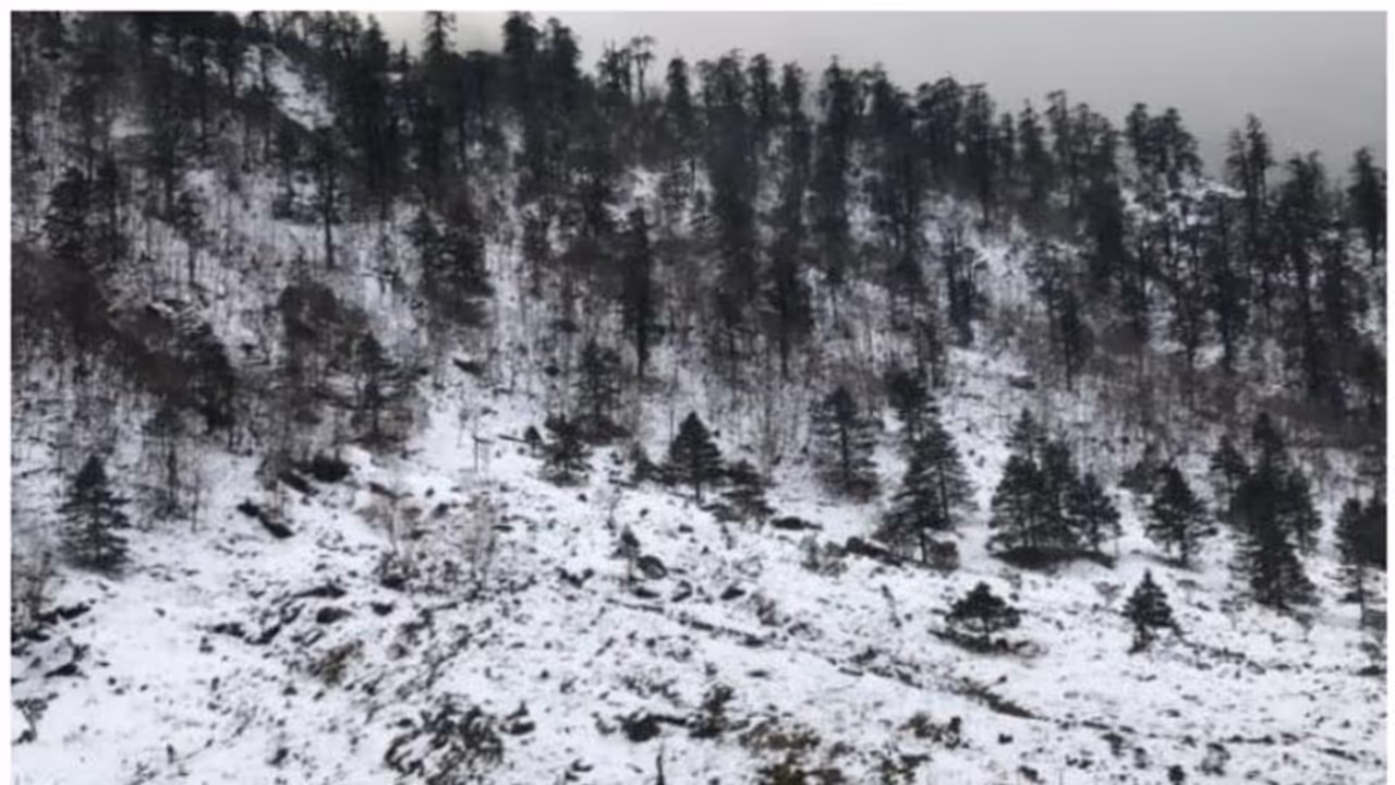 5 skiers killed in two avalanches in French Alps, four Norwegian nationals among the victims