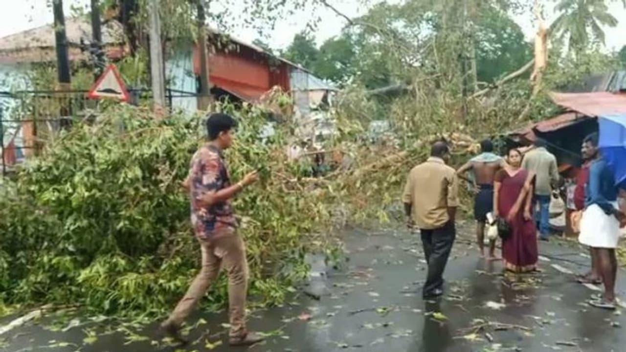 അടൂരിൽ ശക്തമായ കാറ്റും മഴയും; സ്കൂട്ടറിന് മുകളിൽ മരം ഒടിഞ്ഞു വീണ് ഒരു മരണം