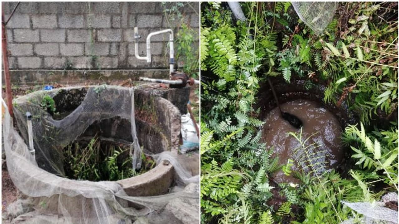 കിണറിനരികെ നിന്ന ഗൃഹനാഥനെ പാഞ്ഞെത്തി കാട്ടുപന്നി ആക്രമിച്ചു, മെഡിക്കൽ കോളേജിൽ; കൈവരി തക‍ർത്ത് പന്നി കിണറ്റിൽ