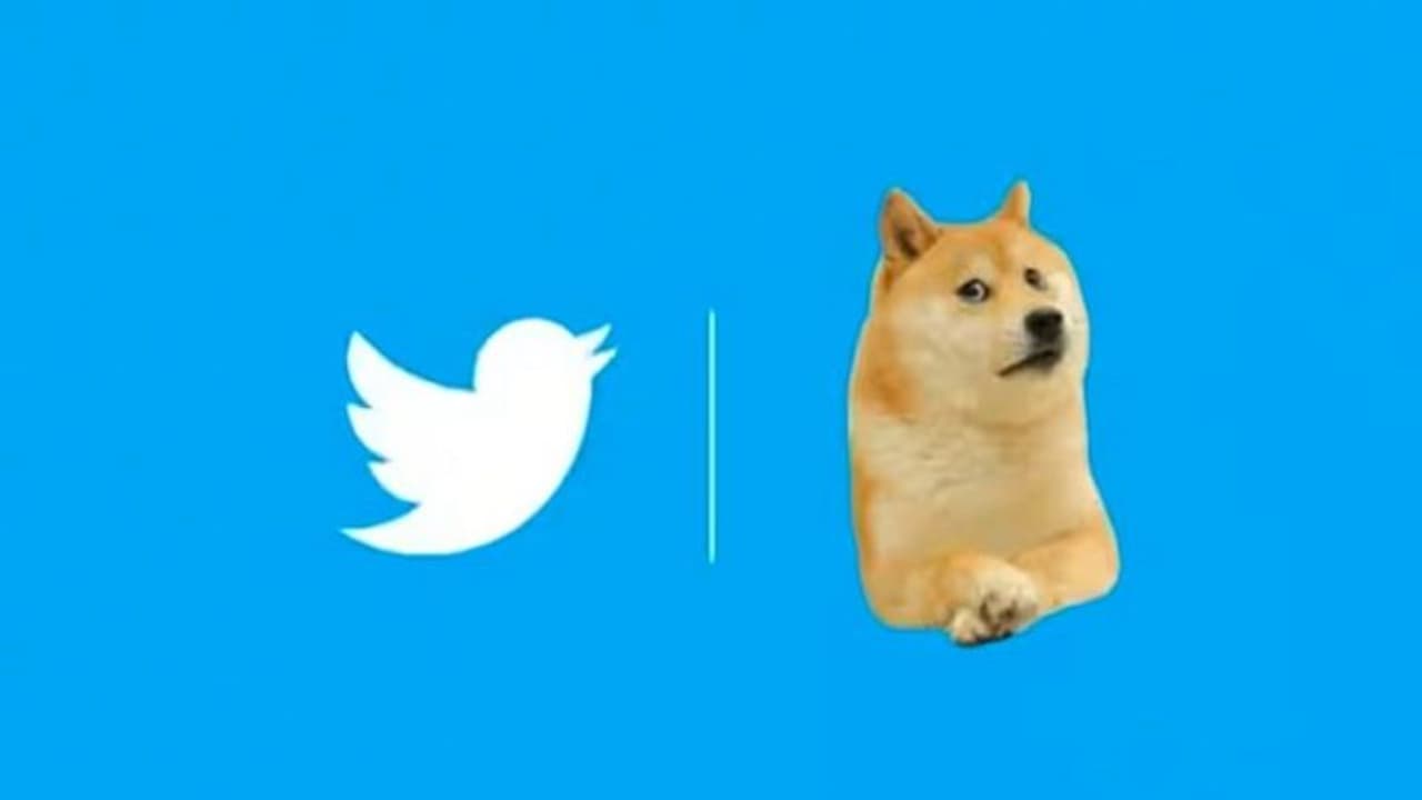 అసలు ట్విట్టర్ లోగో ఖరీదు ఎంతో తెలుసా..? వింటే మీరు షాక్ అవుతారు! అసలు ట్విట్టర్ లోగో ఖరీదు ఎంతో తెలుసా..? వింటే మీరు షాక్ అవుతారు!