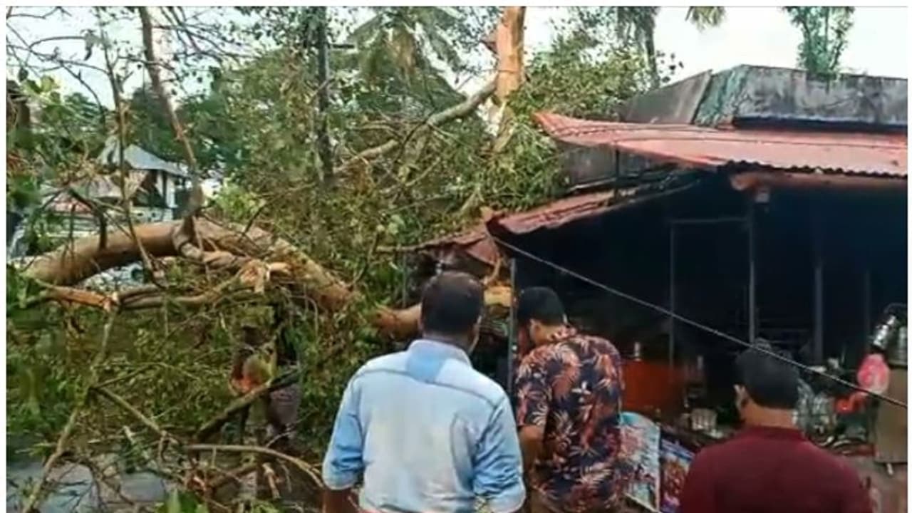 തെക്കന് കേരളത്തില് കനത്ത മഴയിലും കാറ്റിലും നാശനഷ്ടം; മരം വീണ് രണ്ട് പേര്ക്ക് ദാരുണാന്ത്യം തെക്കന് കേരളത്തില് കനത്ത മഴയിലും കാറ്റിലും നാശനഷ്ടം; മരം വീണ് രണ്ട് പേര്ക്ക് ദാരുണാന്ത്യം