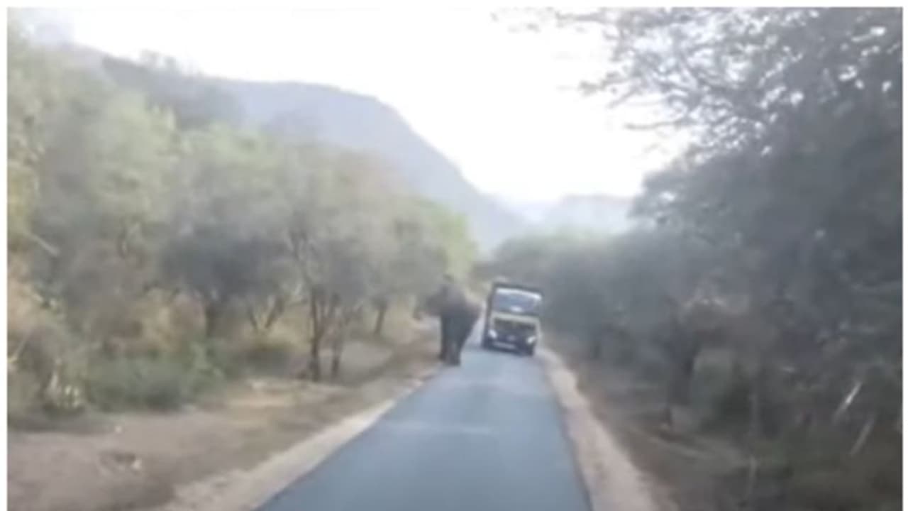 അതിർത്തിയിൽ കാട്ടാന ആക്രമണം; ലോറി ആക്രമിച്ചു, മൂന്ന് വാഹനങ്ങൾക്ക് കേടുപാട്, ഒന്നരമണിക്കൂറോളം ഗതാഗത തടസ്സം അതിർത്തിയിൽ കാട്ടാന ആക്രമണം; ലോറി ആക്രമിച്ചു, മൂന്ന് വാഹനങ്ങൾക്ക് കേടുപാട്, ഒന്നരമണിക്കൂറോളം ഗതാഗത തടസ്സം