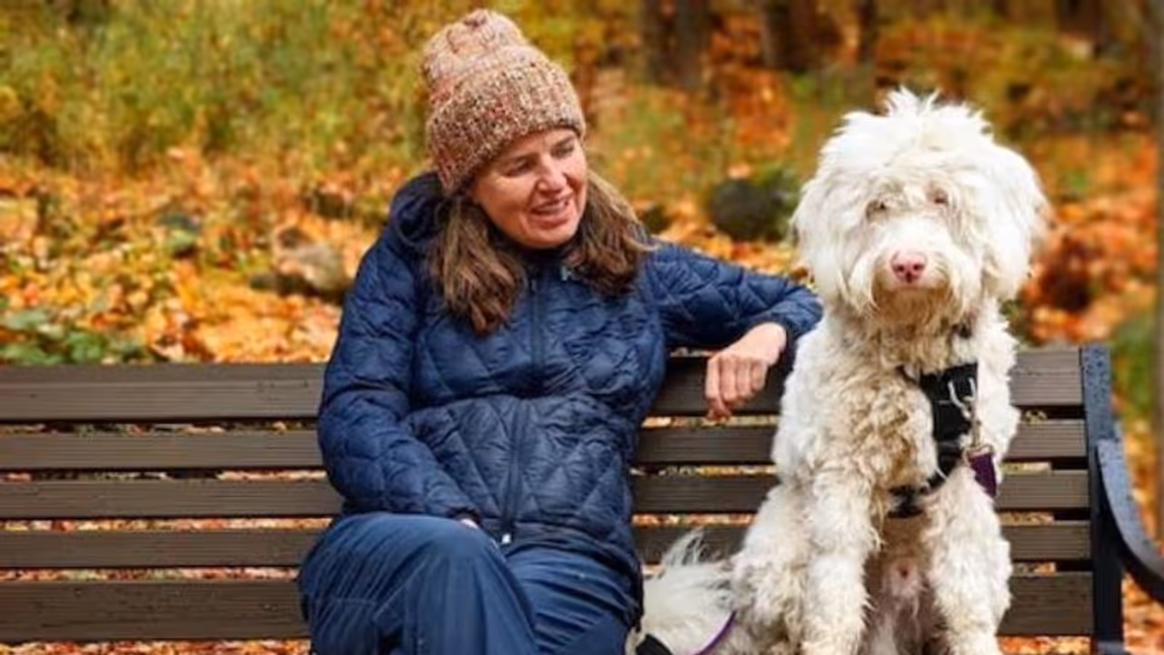 കാഴ്ചയും കേൾവിയും ഇല്ലാത്ത നായ ഉടമയെ സ്പർശനത്തിലൂടെ തിരിച്ചറിയുന്നു; വൈറലായി വീഡിയോ കാഴ്ചയും കേൾവിയും ഇല്ലാത്ത നായ ഉടമയെ സ്പർശനത്തിലൂടെ തിരിച്ചറിയുന്നു; വൈറലായി വീഡിയോ