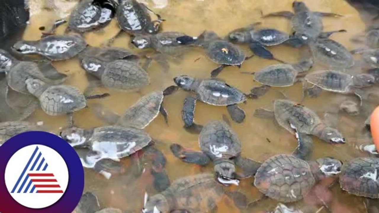  ಶಾಸ್ತ್ರದ ಪ್ರಕಾರ ಈ ಮೂರ್ತಿಗಳನ್ನು ಮನೆಯಲ್ಲಿ ಇಡಿ, ಹಣದ ಹೊಳೆ ಪಕ್ಕಾ 