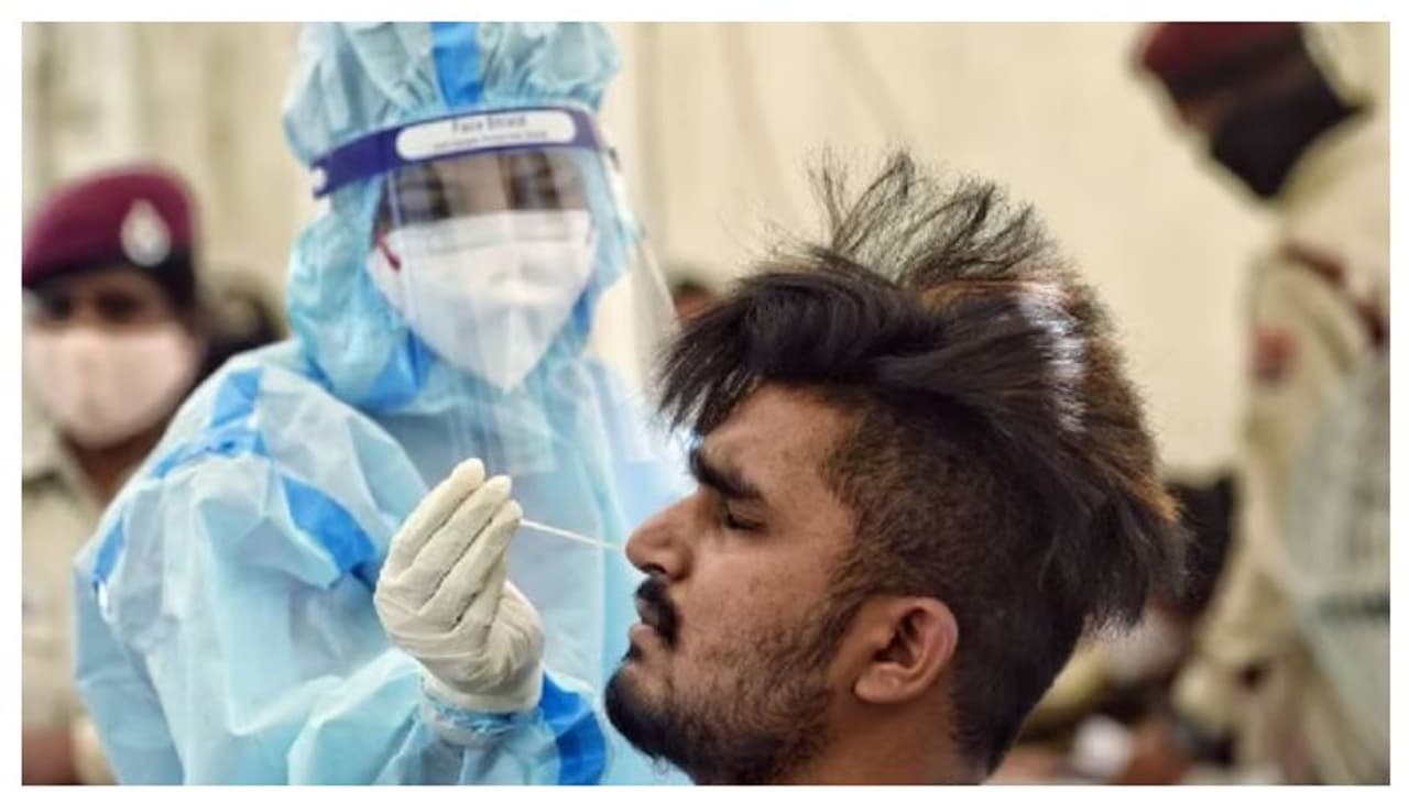 புதிய உச்சம்! 50,000 ஐ தாண்டிய கொரோனா பாதிப்பு; ஒரே நாளில் 20 பேர் மரணம் புதிய உச்சம்! 50,000 ஐ தாண்டிய கொரோனா பாதிப்பு; ஒரே நாளில் 20 பேர் மரணம்