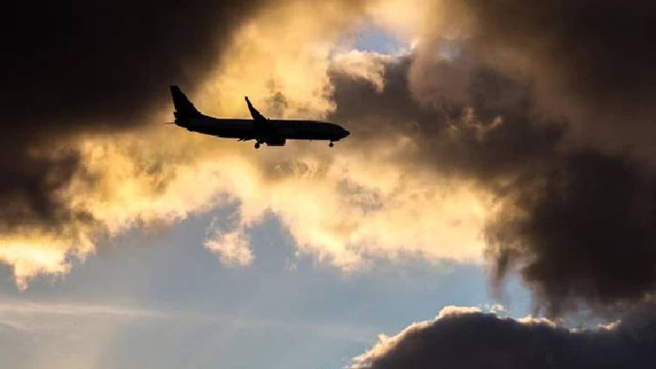 ശരീരത്തിൽ തണുപ്പ്, നോക്കിയപ്പോൾ സീറ്റിനടിയിൽ പാമ്പ്, ഭയപ്പെടാതെ വിമാനം അടിയന്തരമായിറക്കി പൈലറ്റ് ശരീരത്തിൽ തണുപ്പ്, നോക്കിയപ്പോൾ സീറ്റിനടിയിൽ പാമ്പ്, ഭയപ്പെടാതെ വിമാനം അടിയന്തരമായിറക്കി പൈലറ്റ്