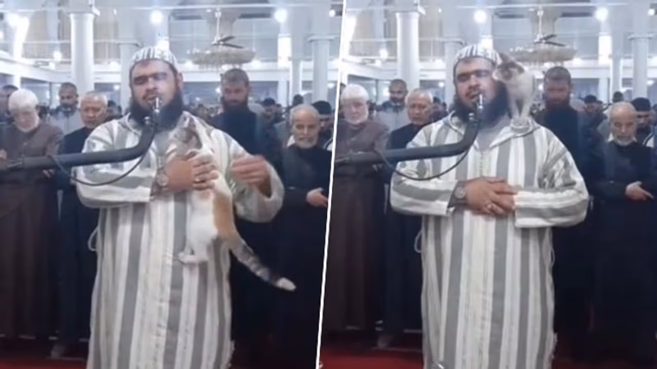 Ramadan 2023: Cat jumps on Imam during live broadcast of prayers in Algeria; video goes viral Ramadan 2023: Cat jumps on Imam during live broadcast of prayers in Algeria; video goes viral