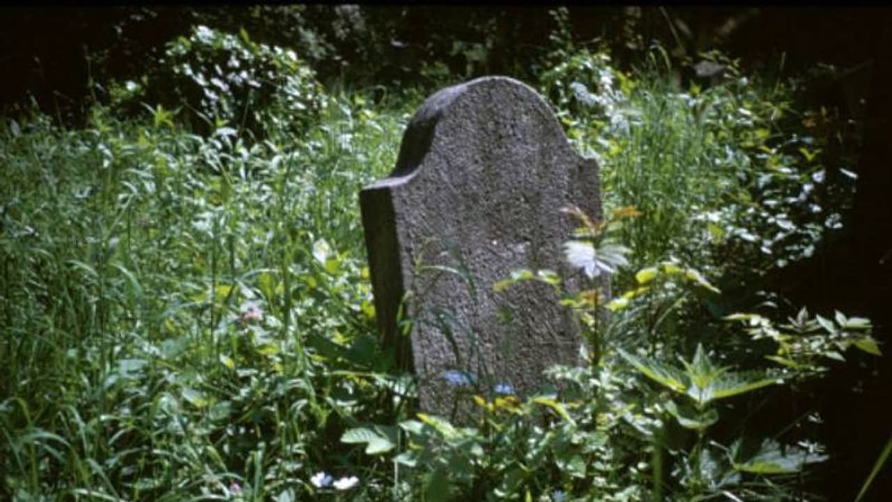 പൂർവികരുടെ ശവകുടീരം സന്ദർശിക്കാൻ അവധിക്ക് അപേക്ഷിച്ചു, ശവകുടീരങ്ങളുടെ ചിത്രങ്ങൾ കാണിക്കണമെന്ന് ബോസ്