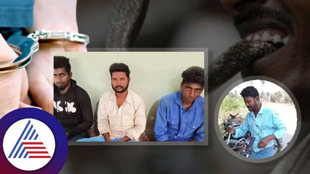 ಹಾವಿನ ತಲೆ ಕಚ್ಚಿ ಹಿಂಸಿಸಿ ಕೊಂದ ದುರುಳರು: ವಿಡಿಯೋ ವೈರಲ್ ಬೆನ್ನಲ್ಲೇ ಮೂವರ ಅರೆಸ್ಟ್ ಹಾವಿನ ತಲೆ ಕಚ್ಚಿ ಹಿಂಸಿಸಿ ಕೊಂದ ದುರುಳರು: ವಿಡಿಯೋ ವೈರಲ್ ಬೆನ್ನಲ್ಲೇ ಮೂವರ ಅರೆಸ್ಟ್