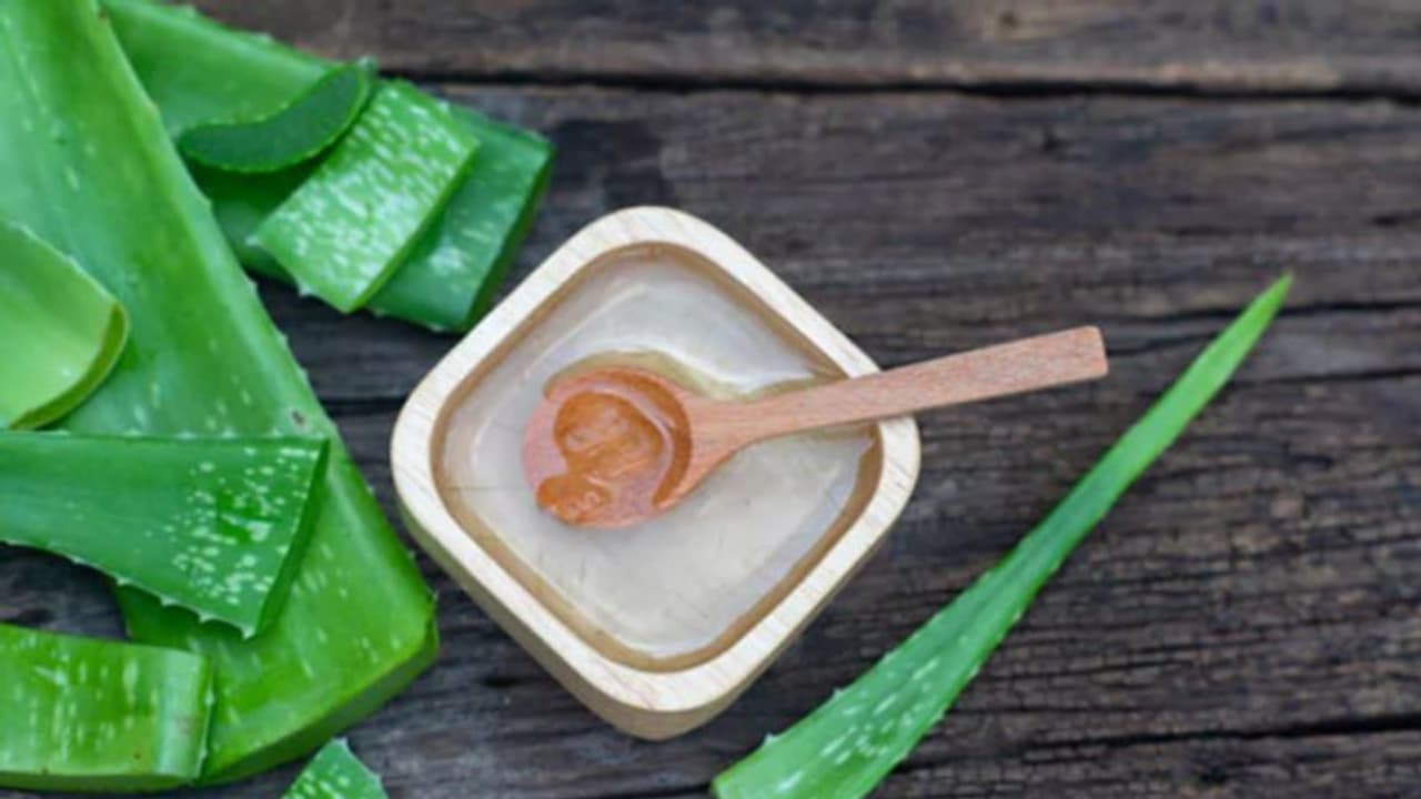 തലമുടിയുടെയും ചര്മ്മത്തിന്റെയും സംരക്ഷണത്തിനായി കറ്റാര്വാഴ; പരീക്ഷിക്കാം ഇക്കാര്യങ്ങള്... തലമുടിയുടെയും ചര്മ്മത്തിന്റെയും സംരക്ഷണത്തിനായി കറ്റാര്വാഴ; പരീക്ഷിക്കാം ഇക്കാര്യങ്ങള്...