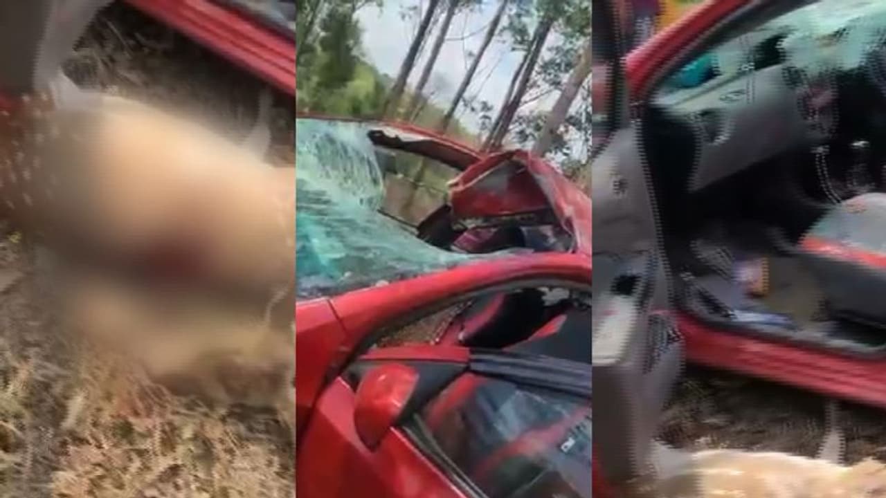 ഓടികൊണ്ടിരുന്ന കാറിന് മുകളിലേക്ക് പുള്ളിമാന് ചാടി, ചില്ല് പൊട്ടി; യാത്രക്കാർക്ക് പരിക്ക്, മാൻ ചത്തു ഓടികൊണ്ടിരുന്ന കാറിന് മുകളിലേക്ക് പുള്ളിമാന് ചാടി, ചില്ല് പൊട്ടി; യാത്രക്കാർക്ക് പരിക്ക്, മാൻ ചത്തു