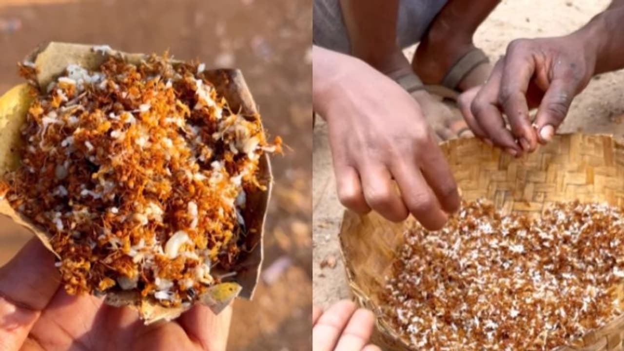 ഉറുമ്പുകള് കൊണ്ട് ചട്ണി; വിചിത്രമായ വിഭവം കഴിച്ചുനോക്കുന്ന യുവതി ഉറുമ്പുകള് കൊണ്ട് ചട്ണി; വിചിത്രമായ വിഭവം കഴിച്ചുനോക്കുന്ന യുവതി