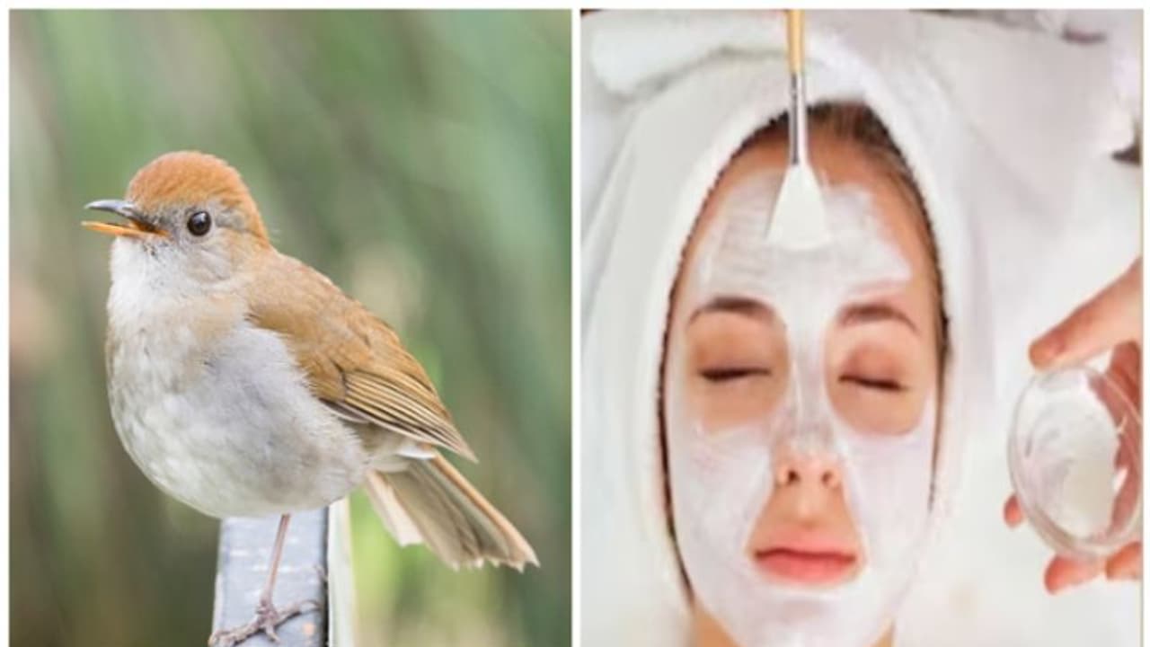 പക്ഷി കാഷ്ഠത്തില്‍ നിന്നും ഫേഷ്യൽ; നൈറ്റിംഗേൽ പൂപ്പ് ഫേഷ്യലിന് വൻ ഡിമാന്‍റ്