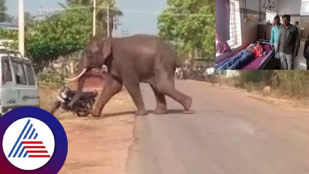 Wildlife: ಚನ್ನಗಿರಿಯಲ್ಲಿ ಕಾಡಾನೆ ಆತಂಕ: ಗ್ರಾಮಸ್ಥರು ಎಚ್ಚರಿಕೆ ಇರುವಂತೆ ಅರಣ್ಯ ಇಲಾಖೆ ಸೂಚನೆ Wildlife: ಚನ್ನಗಿರಿಯಲ್ಲಿ ಕಾಡಾನೆ ಆತಂಕ: ಗ್ರಾಮಸ್ಥರು ಎಚ್ಚರಿಕೆ ಇರುವಂತೆ ಅರಣ್ಯ ಇಲಾಖೆ ಸೂಚನೆ