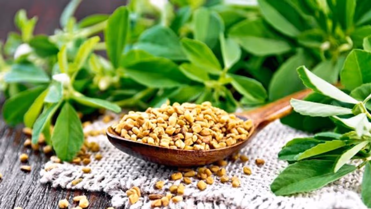 പ്രമേഹം മുതല് തലമുടിക്ക് വരെ; അറിയാം ഉലുവയുടെ ആരോഗ്യ ഗുണങ്ങള്... പ്രമേഹം മുതല് തലമുടിക്ക് വരെ; അറിയാം ഉലുവയുടെ ആരോഗ്യ ഗുണങ്ങള്...