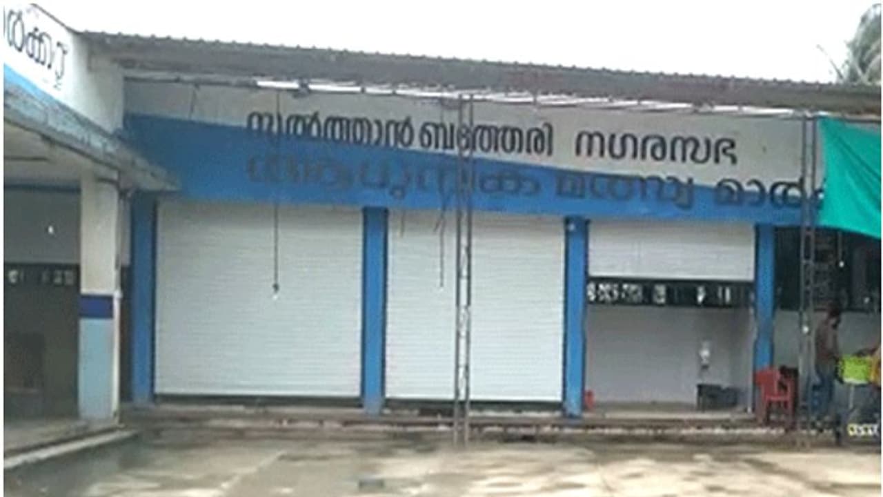 'അടിസ്ഥാനസൗകര്യങ്ങളില്ല, കച്ചവടവുമില്ല,'; ബത്തേരി നഗരസഭ മാര്ക്കറ്റ് മാറ്റിയതില് പ്രതിഷേധം 'അടിസ്ഥാനസൗകര്യങ്ങളില്ല, കച്ചവടവുമില്ല,'; ബത്തേരി നഗരസഭ മാര്ക്കറ്റ് മാറ്റിയതില് പ്രതിഷേധം