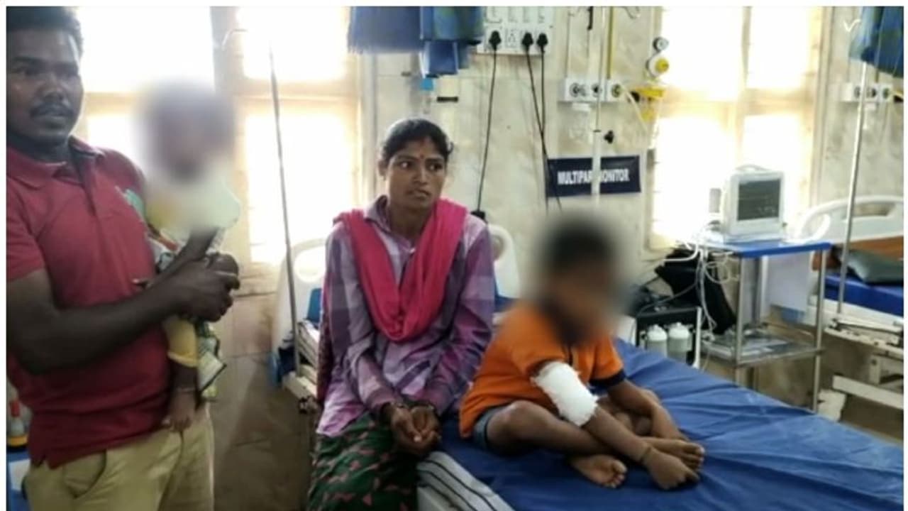 വാൽപ്പാറ മലക്കപ്പാറ അതിർത്തിയിൽ പുലിയുടെ ആക്രമണം; അഞ്ച് വയസുകാരന് പരിക്ക്