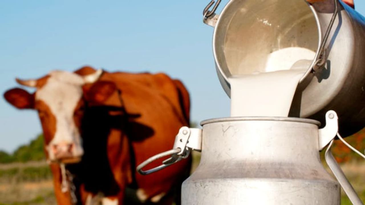 വെണ്ണ, നെയ്യ് തുടങ്ങിയ പാലുൽപ്പന്നങ്ങളുടെ ഇറക്കുമതി ഉണ്ടാകുമോ? ക്ഷീര കർഷകർക്ക് വിശദീകരണം നൽകി കേന്ദ്രം