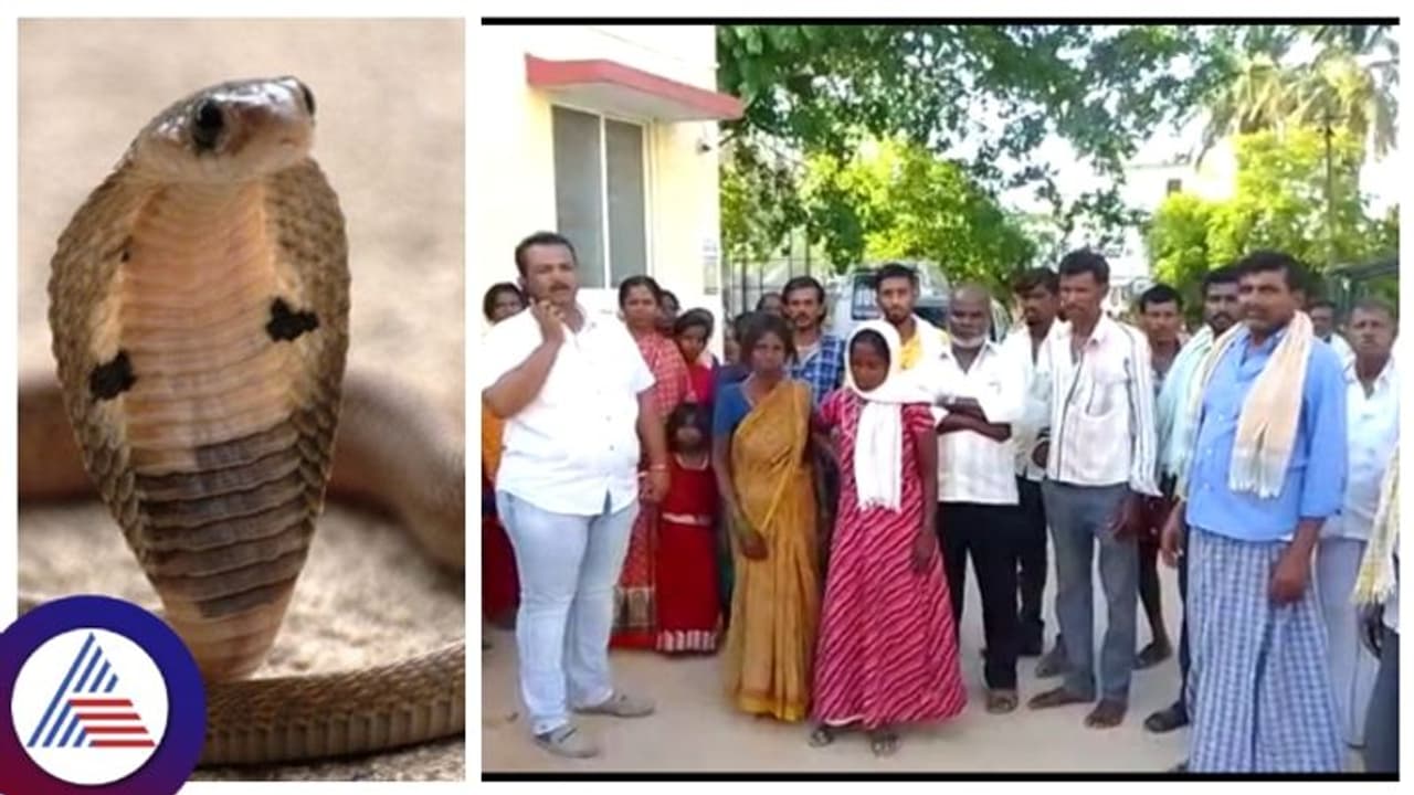 ಆಟವಾಡುವಾಗ ಹಾವು ಕಚ್ಚಿದರೂ ಮನೆಯಲ್ಲಿ ತಿಳಿಸದ ಬಾಲಕ: ಬಾಯಲ್ಲಿ ನೊರೆ ಬಂದು ಸಾವು