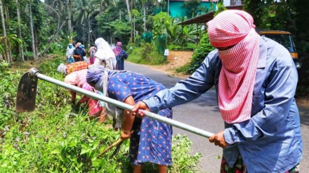 തൊഴിലുറപ്പ് പദ്ധതി; 'കേരളം സമ്പൂര്ണ്ണ സോഷ്യല് ഓഡിറ്റ് സംസ്ഥാനം'; പ്രഖ്യാപനം ഇന്ന് തൊഴിലുറപ്പ് പദ്ധതി; 'കേരളം സമ്പൂര്ണ്ണ സോഷ്യല് ഓഡിറ്റ് സംസ്ഥാനം'; പ്രഖ്യാപനം ഇന്ന്
