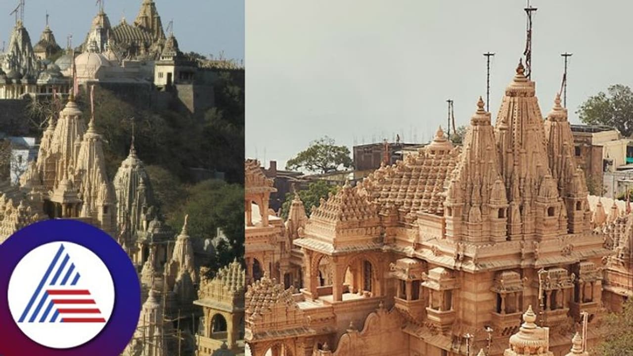 ಈ ಇಡೀ ನಗರದಲ್ಲಿ ಮಾಂಸಾಹಾರಕ್ಕಿದೆ ನಿಷೇಧ, ಜಗತ್ತಿನ ಏಕೈಕ ಸಸ್ಯಾಹಾರ ನಗರ ಎಲ್ಲಿದೆ ಬಲ್ಲಿರಾ?