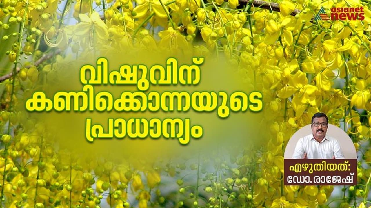 Vishu 2023 : വിഷുക്കണിയിൽ കൊന്നപ്പൂവിന്റെ പ്രാധാന്യമെന്ത്? Vishu 2023 : വിഷുക്കണിയിൽ കൊന്നപ്പൂവിന്റെ പ്രാധാന്യമെന്ത്?