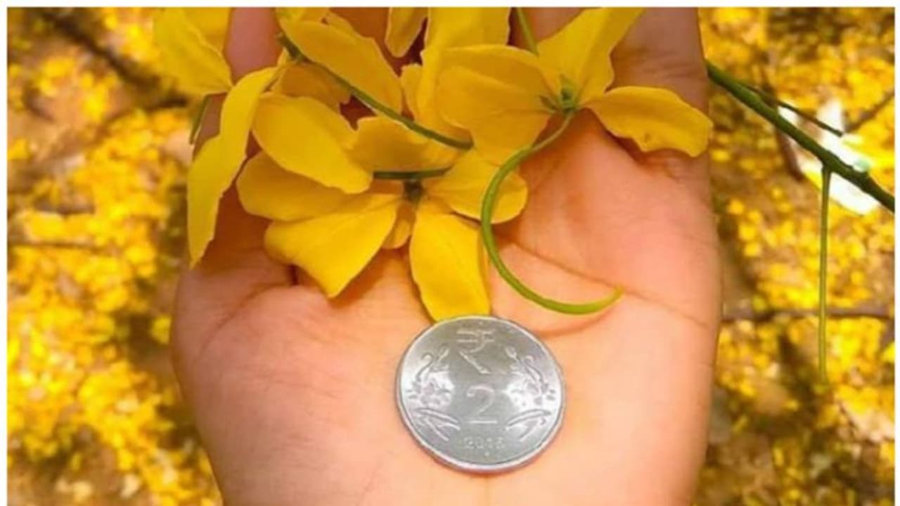 Vishu 2023 : വിഷുവിന് കൈ നീട്ടം നൽകുന്നതിന് പിന്നിലെ കഥ ഇതാണ് 