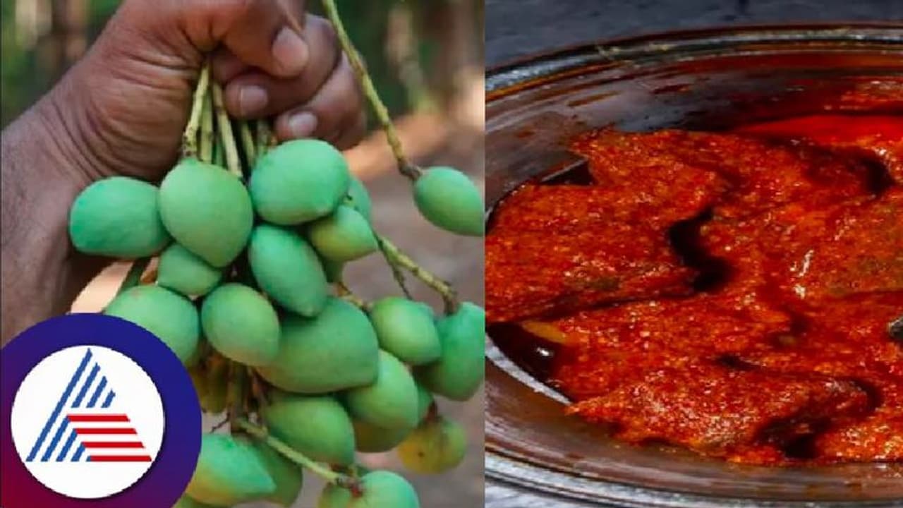 ಸಿಲಿಕಾನ್ ಸಿಟಿಯಲ್ಲಿ ಮೊದಲ ಬಾರಿ ಅಪ್ಪೆಮಿಡಿ ಮೇಳ! 