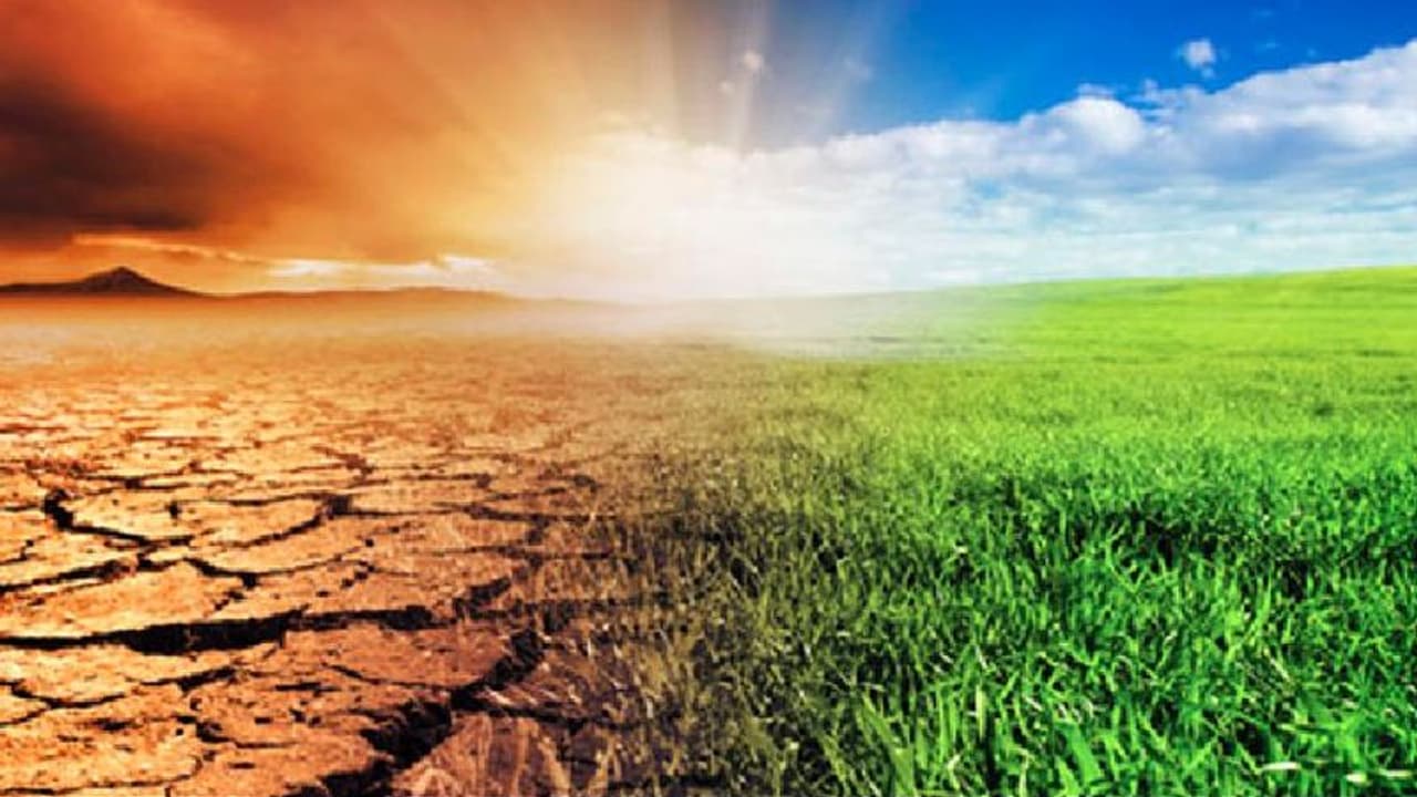 Rain Forecast: ಈ ಬಾರಿ ಮಳೆ ಕಮ್ಮಿ, 20% ಬರ ಸಾಧ್ಯತೆ: ರೈತರಿಗೆ ಶಾಕ್ ನೀಡಿದ ಸ್ಕೈಮೆಟ್‌ 