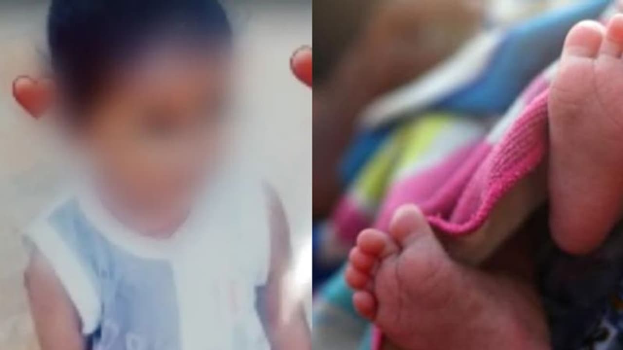 രണ്ട് വയസുകാരിയെ കാണാനില്ല, മൃതദേഹം അയല്വാസിയുടെ വീട്ടില് ബാഗിനുള്ളില്; ക്രൂര കൊലപാതകം, പ്രതി ഒളിവിൽ രണ്ട് വയസുകാരിയെ കാണാനില്ല, മൃതദേഹം അയല്വാസിയുടെ വീട്ടില് ബാഗിനുള്ളില്; ക്രൂര കൊലപാതകം, പ്രതി ഒളിവിൽ